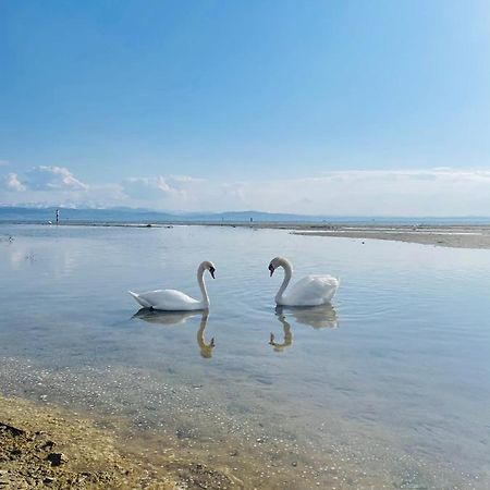 " Sunshine Am See " FDH Dış mekan fotoğraf
